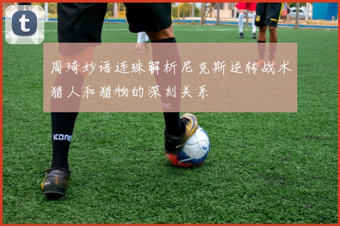 周琦妙语连珠解析尼克斯逆转战术猎人和猎物的深刻关系