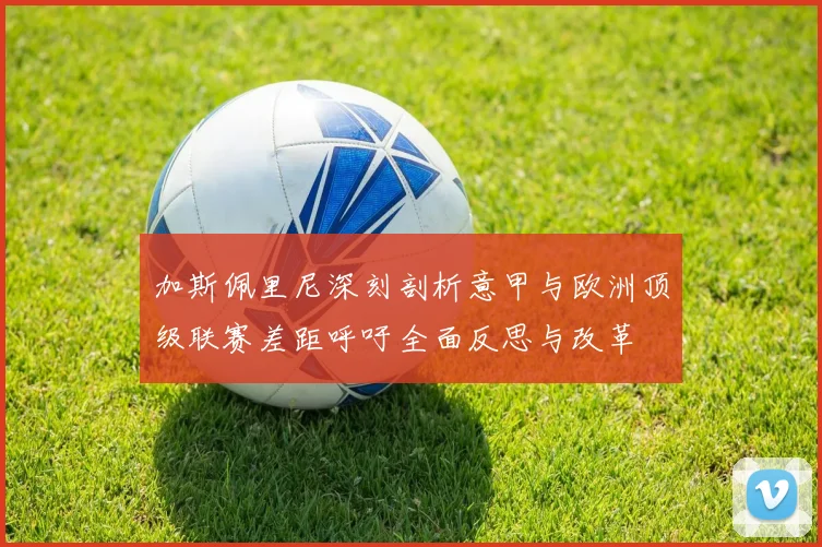 加斯佩里尼深刻剖析意甲与欧洲顶级联赛差距呼吁全面反思与改革
